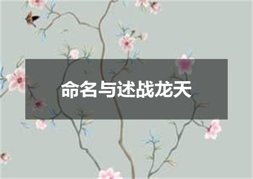 命名与述战龙天
