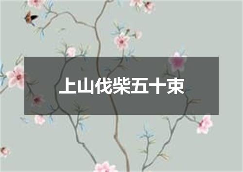 上山伐柴五十束
