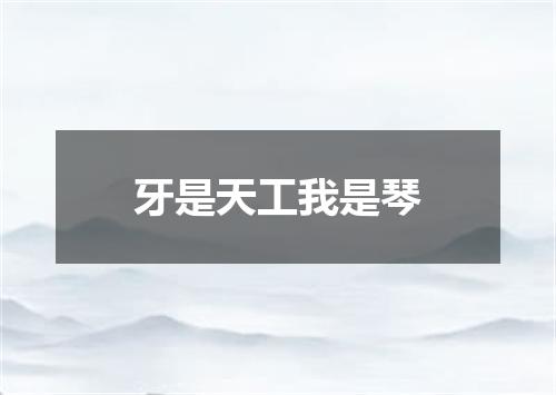 牙是天工我是琴