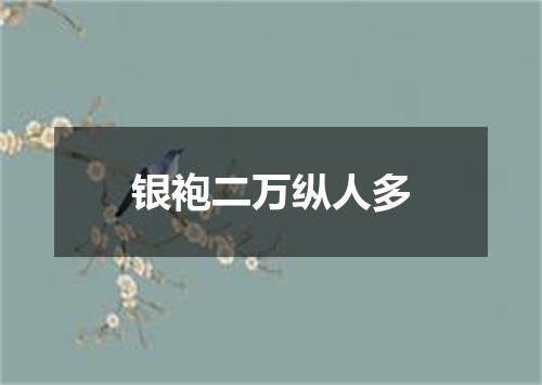 银袍二万纵人多