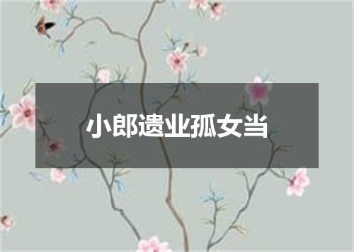 小郎遗业孤女当