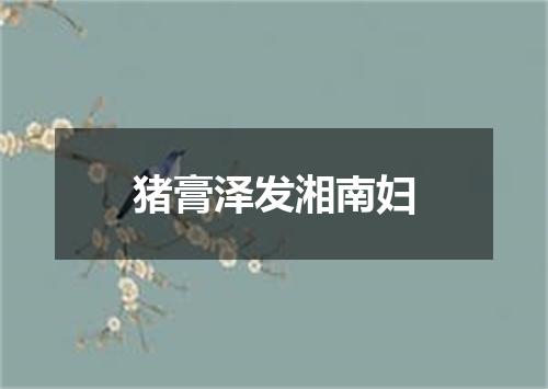 猪膏泽发湘南妇