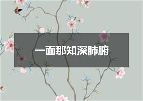 一面那知深肺腑