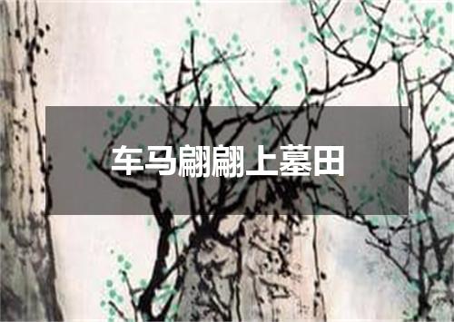车马翩翩上墓田