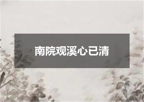 南院观溪心已清