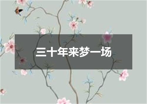 三十年来梦一场