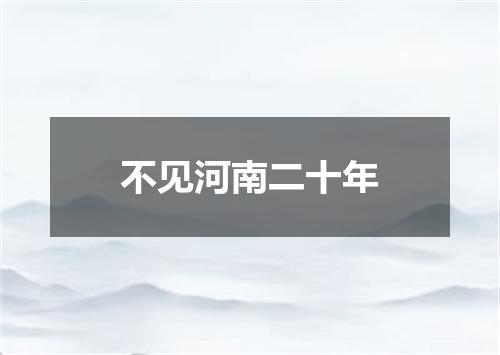 不见河南二十年
