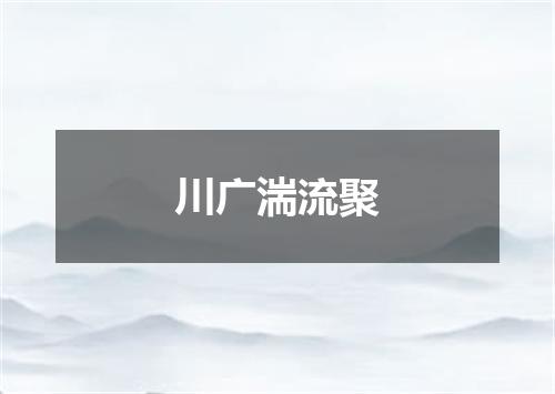 川广湍流聚