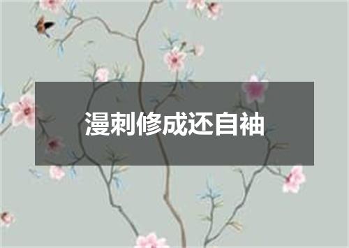 漫刺修成还自袖