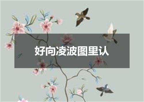 好向凌波图里认