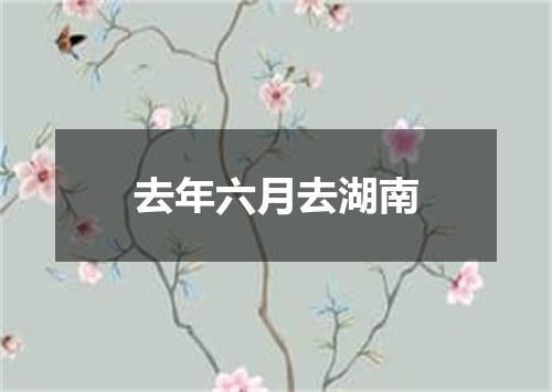 去年六月去湖南
