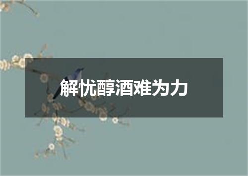 解忧醇酒难为力