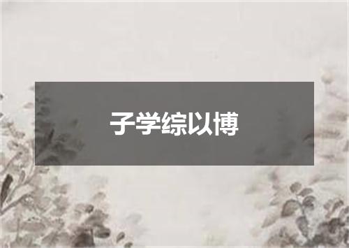 子学综以博