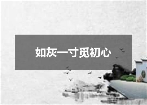 如灰一寸觅初心