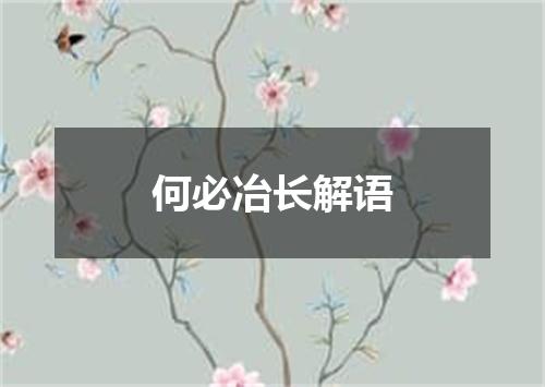 何必冶长解语