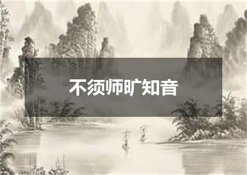不须师旷知音