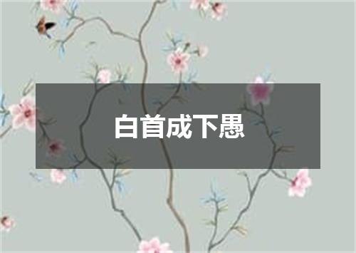 白首成下愚