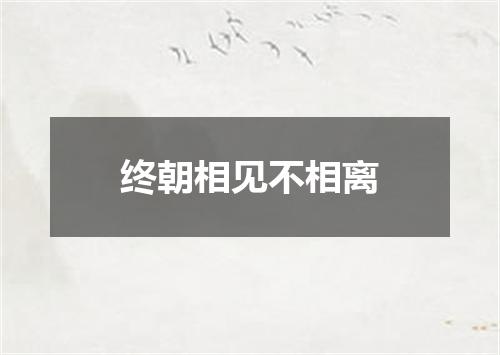 终朝相见不相离