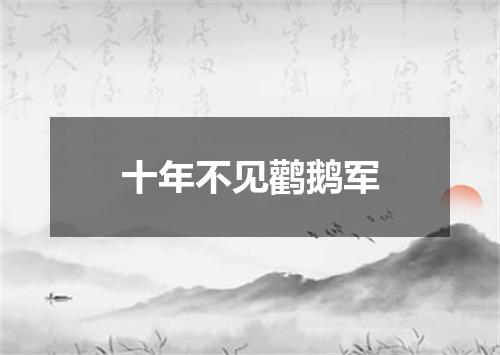 十年不见鹳鹅军
