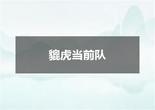 貔虎当前队