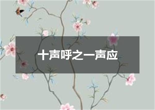 十声呼之一声应
