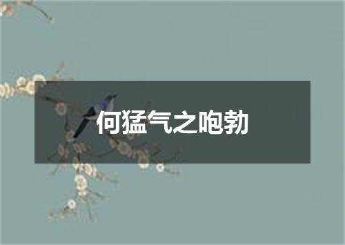 何猛气之咆勃