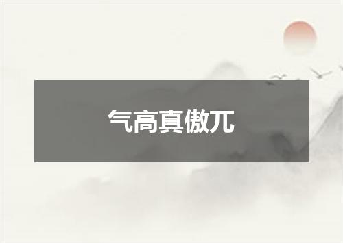 气高真傲兀