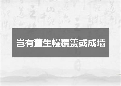 岂有董生幔覆篑或成墙