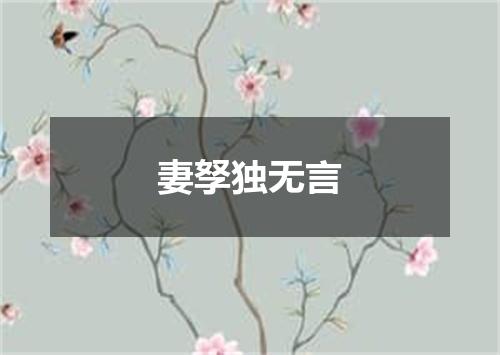 妻孥独无言