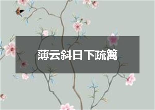 薄云斜日下疏篱