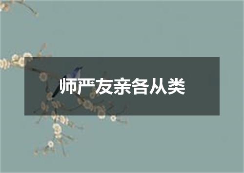 师严友亲各从类