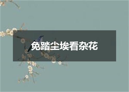 免踏尘埃看杂花