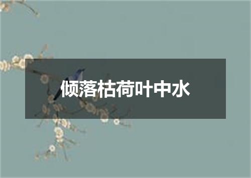 倾落枯荷叶中水