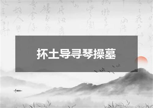 抔土导寻琴操墓