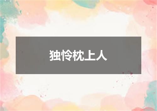 独怜枕上人