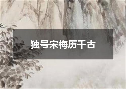 独号宋梅历千古