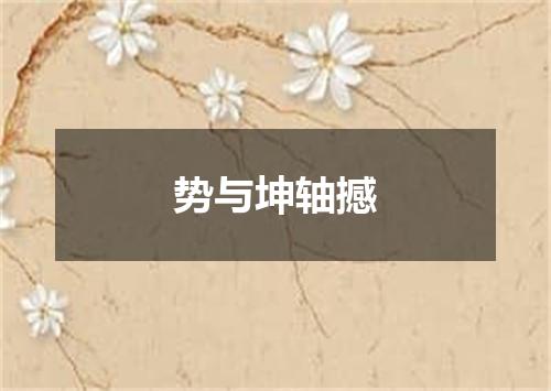 势与坤轴撼