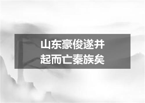 山东豪俊遂并起而亡秦族矣