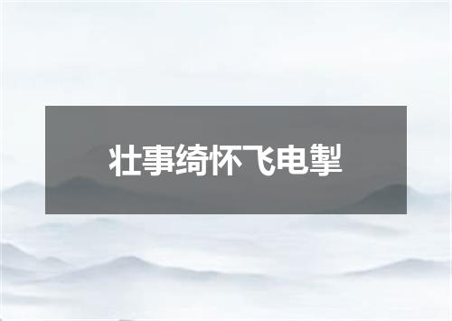 壮事绮怀飞电掣