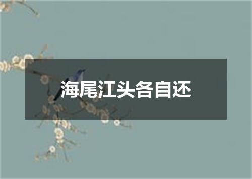 海尾江头各自还