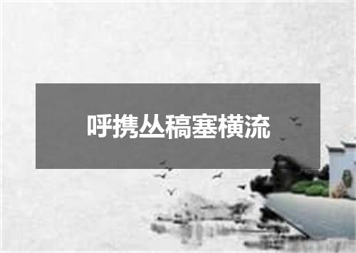 呼携丛稿塞横流