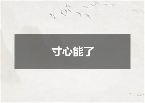 寸心能了