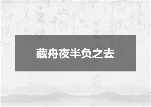 藏舟夜半负之去