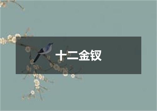 十二金钗