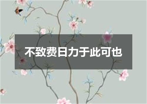 不致费日力于此可也