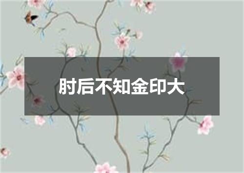 肘后不知金印大