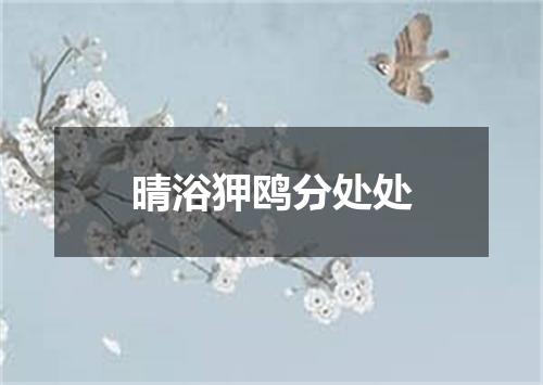 晴浴狎鸥分处处