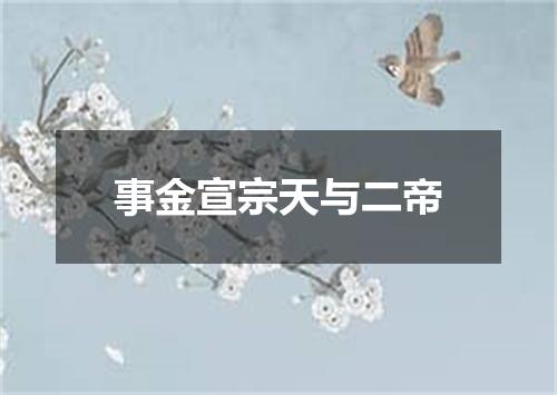 事金宣宗天与二帝