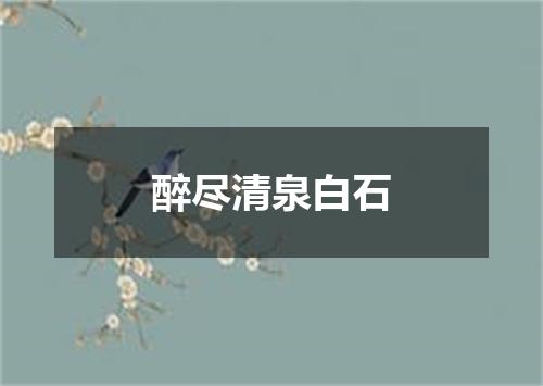 醉尽清泉白石
