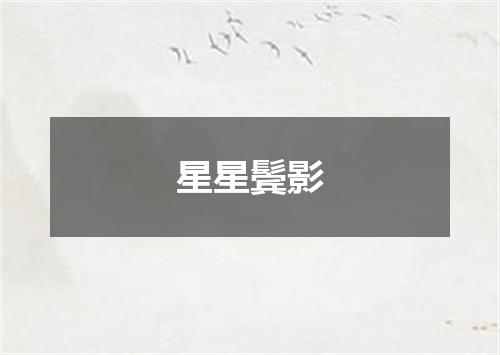 星星鬓影